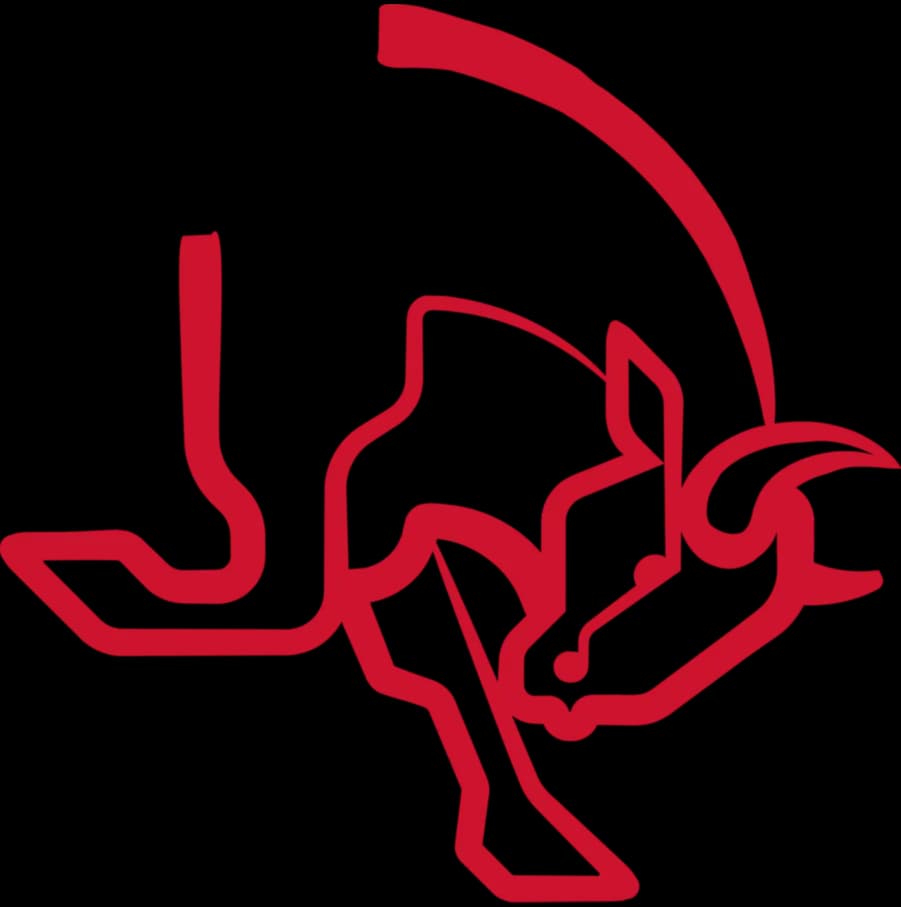 AaB Bulls