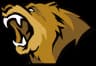 Lynn Vision logo