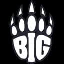 BIG logo