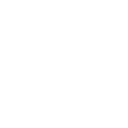 MightyWolves logo